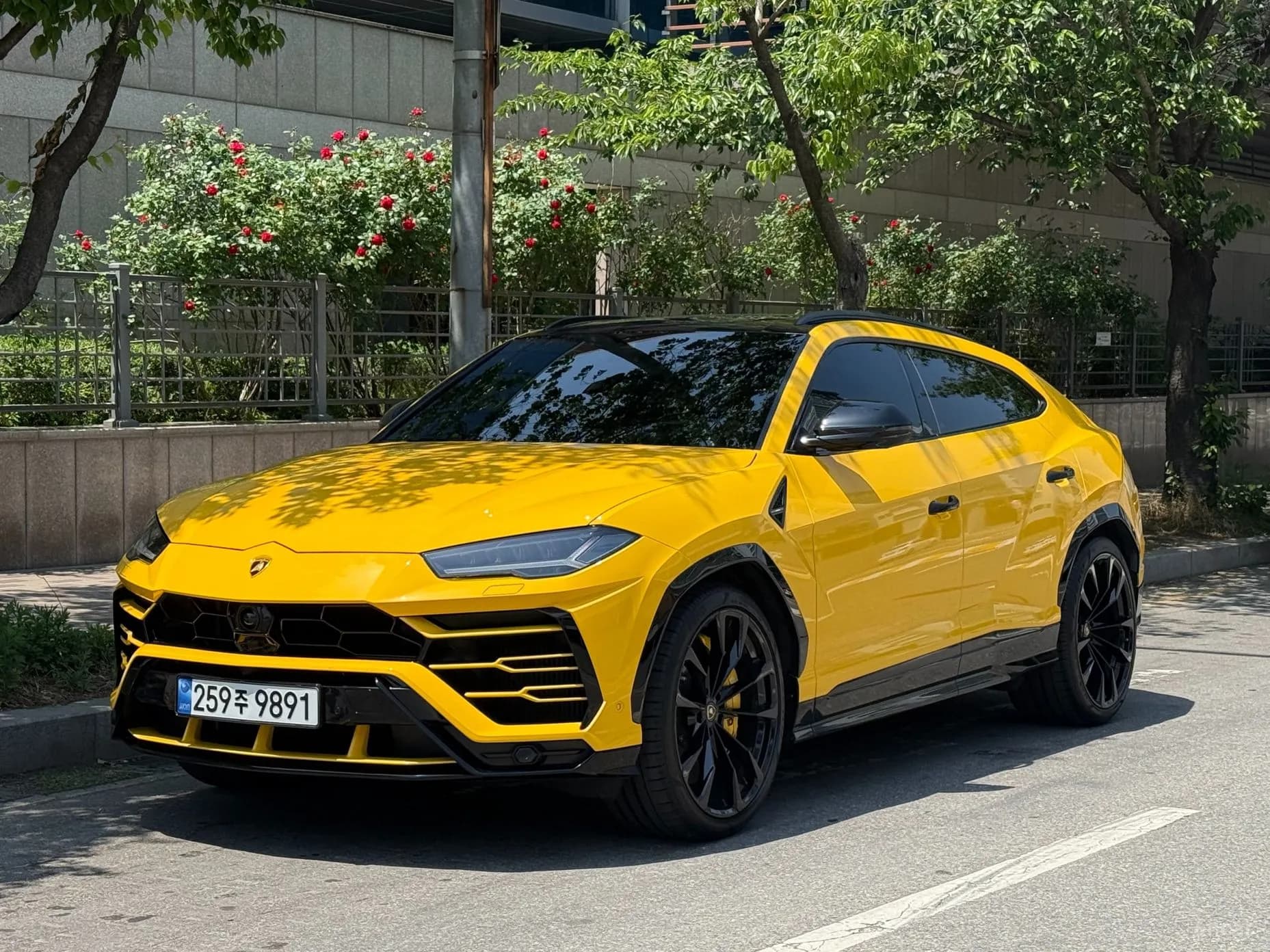 Urus