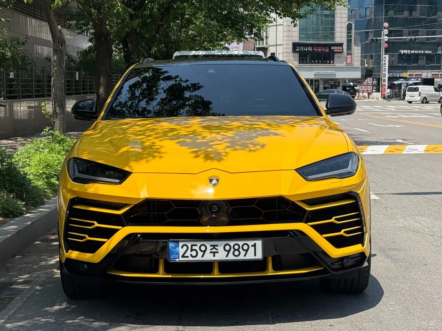 Urus