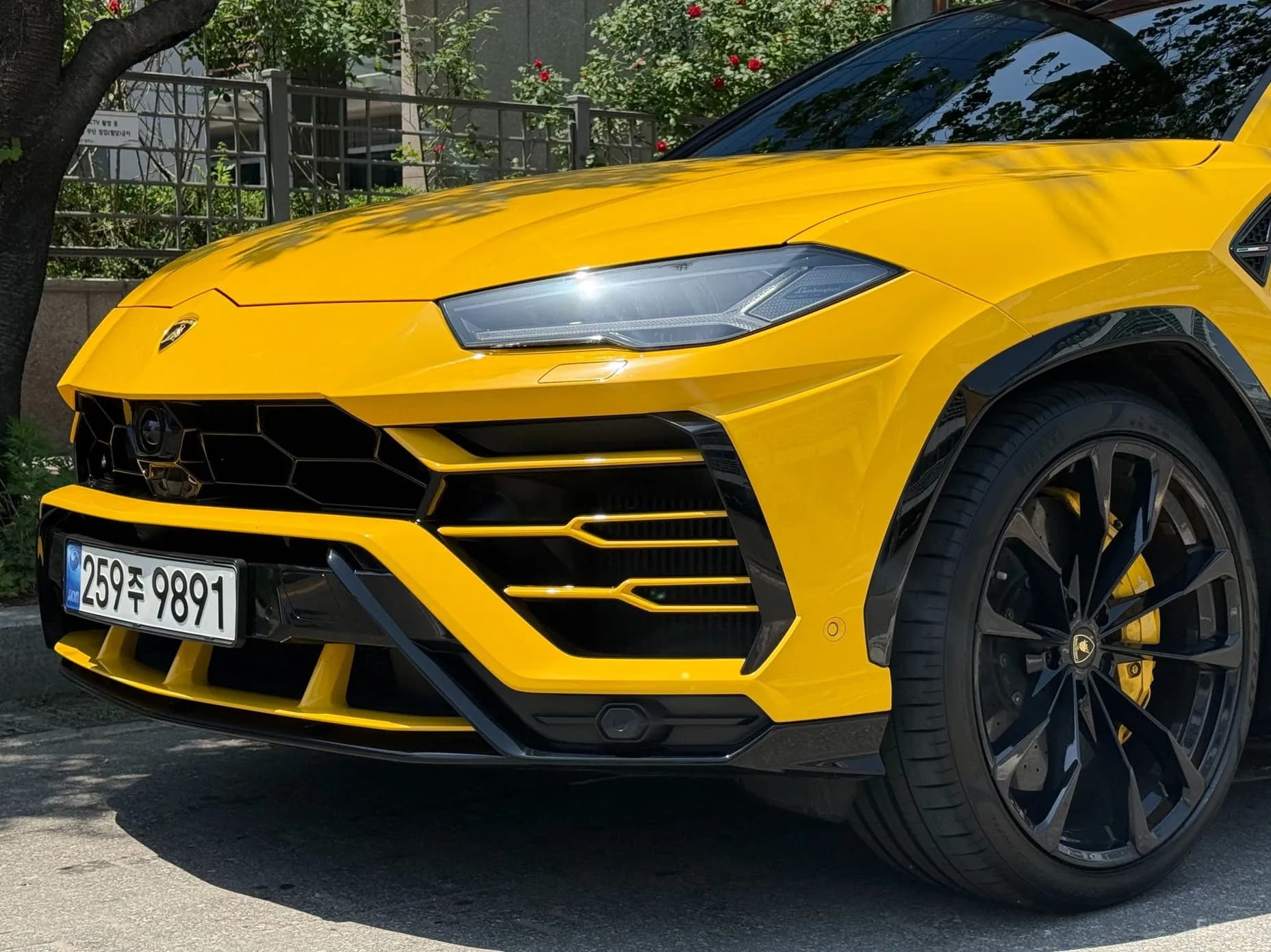 Urus