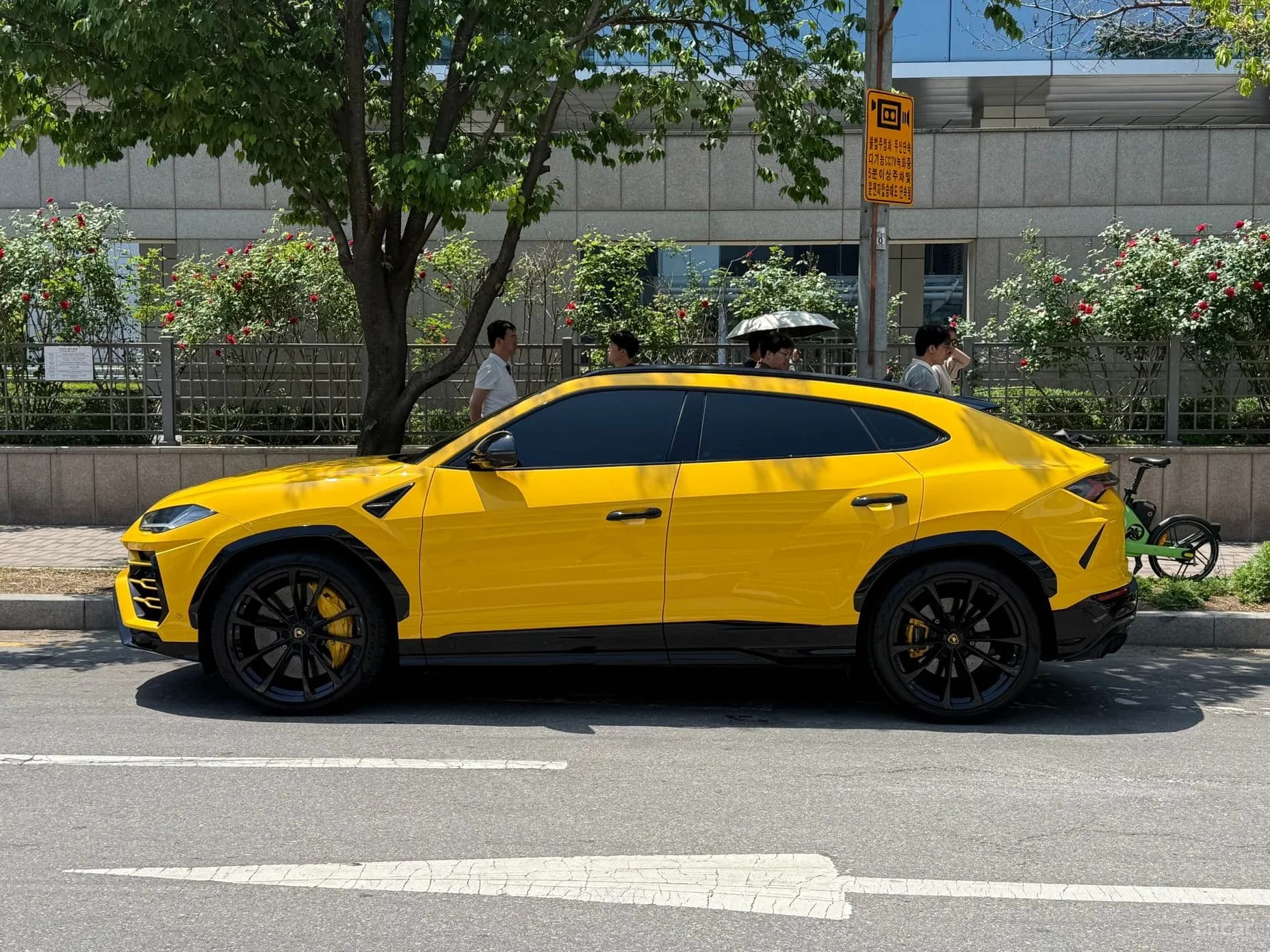 Urus