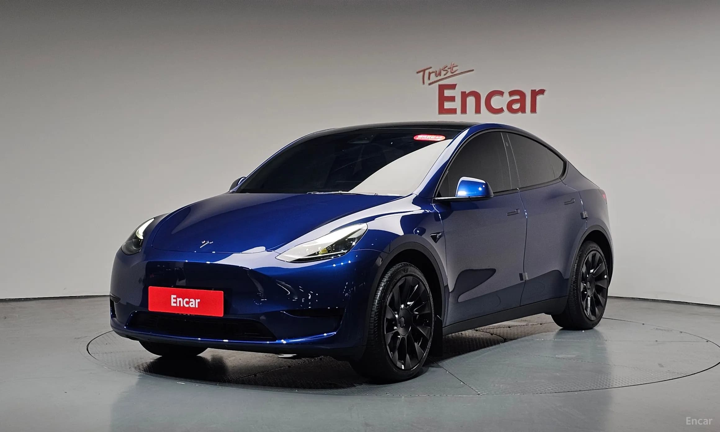 Model Y