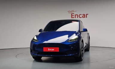 Model Y