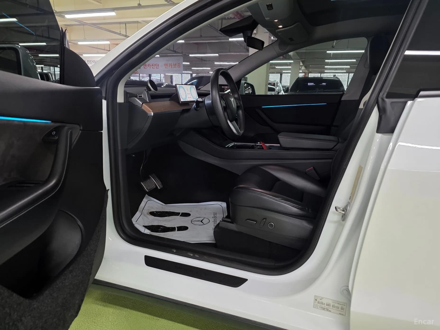 Model Y