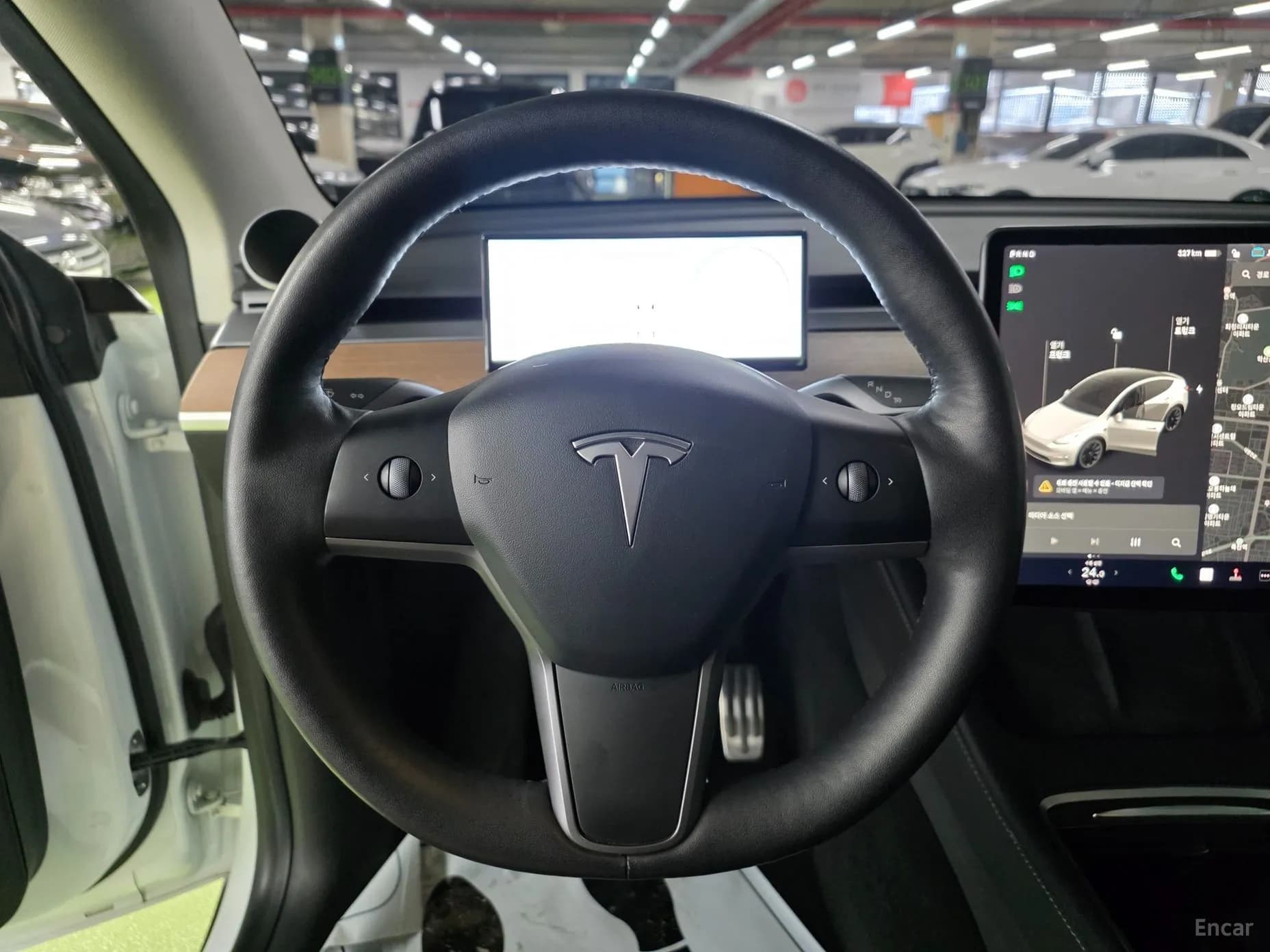Model Y