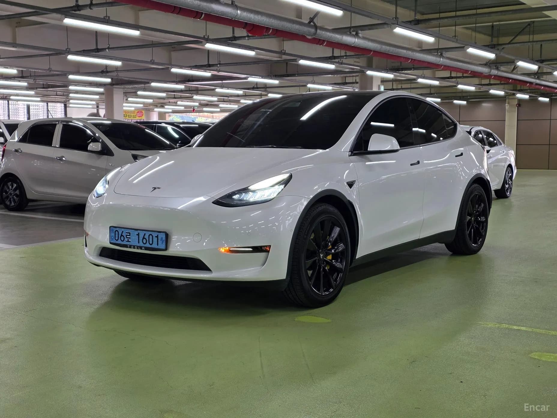 Model Y
