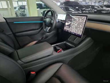 Model Y