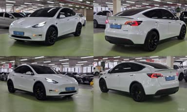 Model Y
