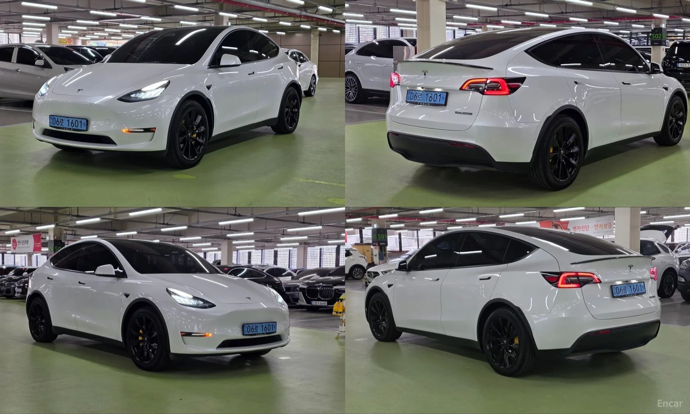 Model Y
