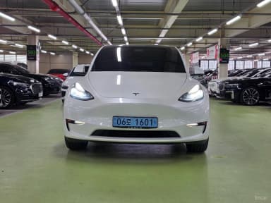 Model Y