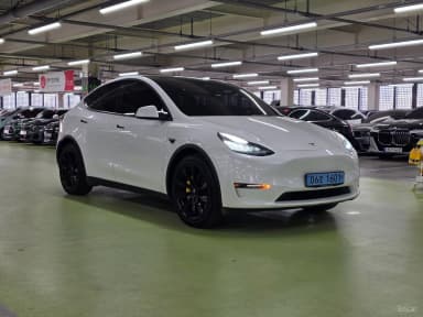 Model Y