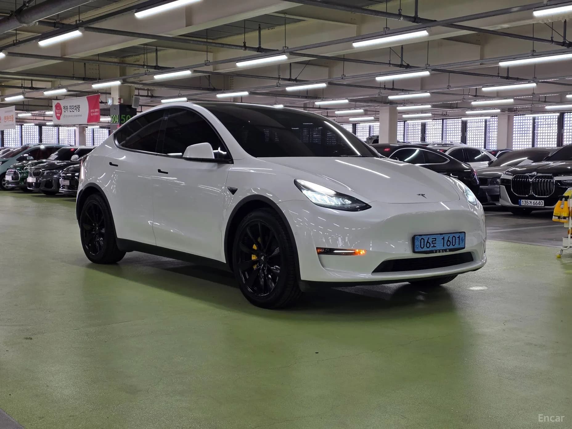 Model Y
