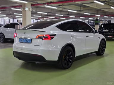 Model Y