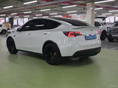 Model Y