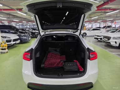 Model Y