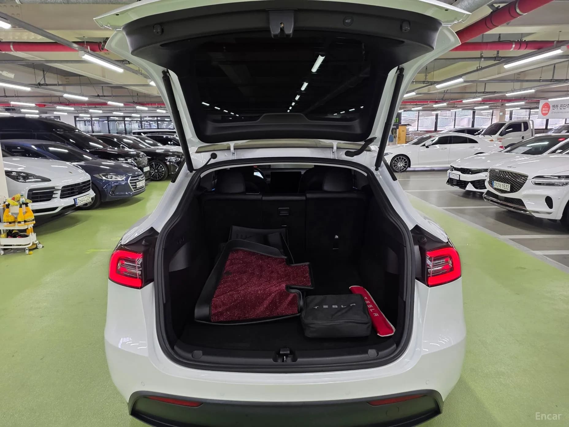 Model Y