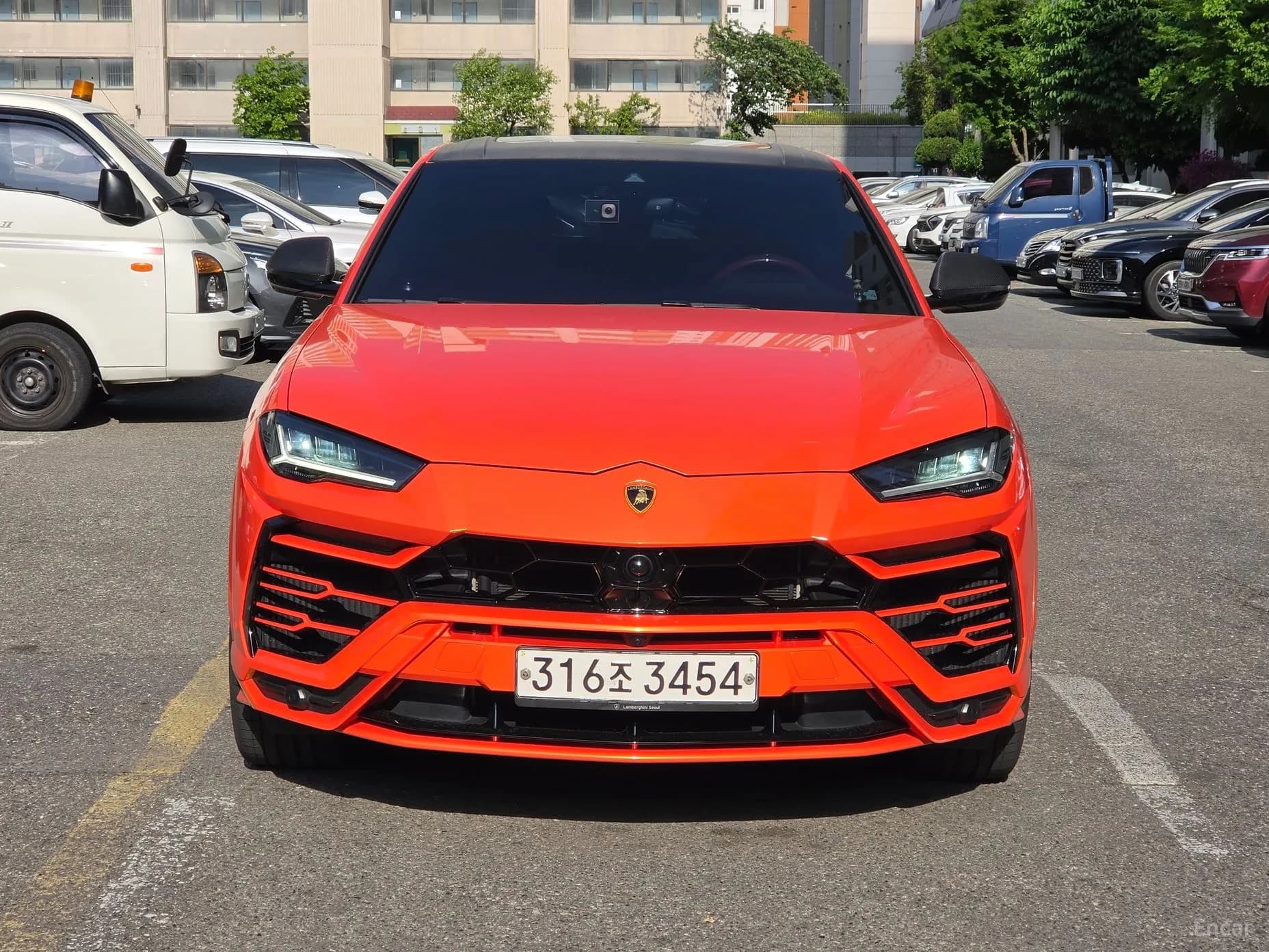 Urus