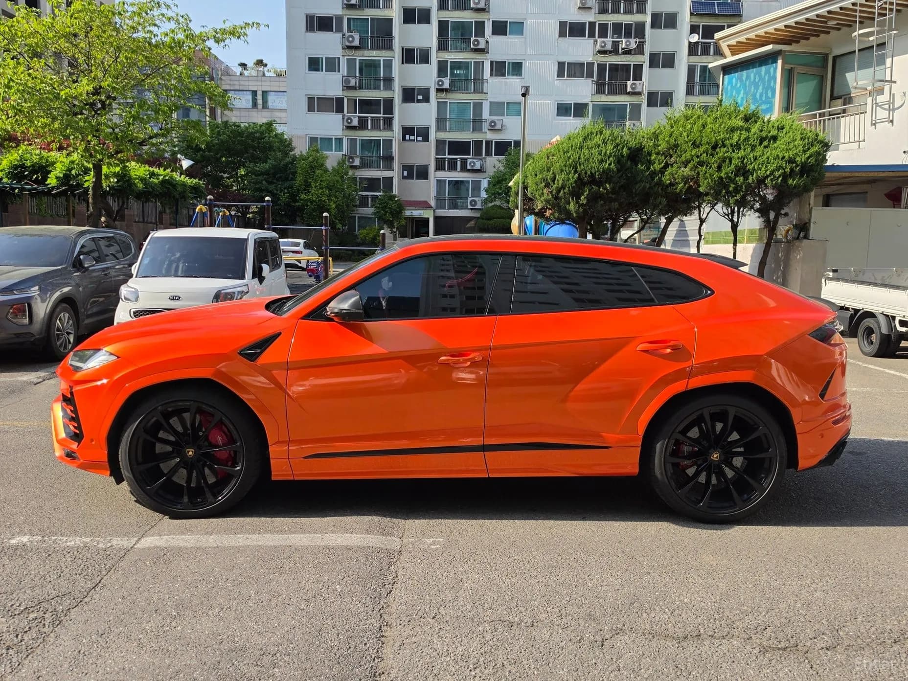 Urus