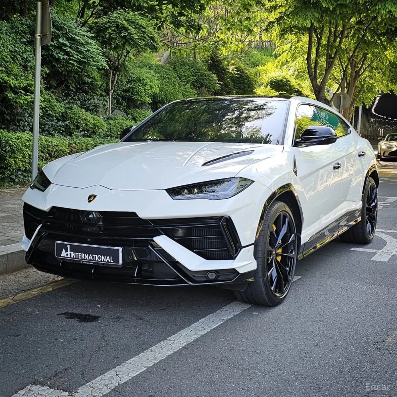 Urus