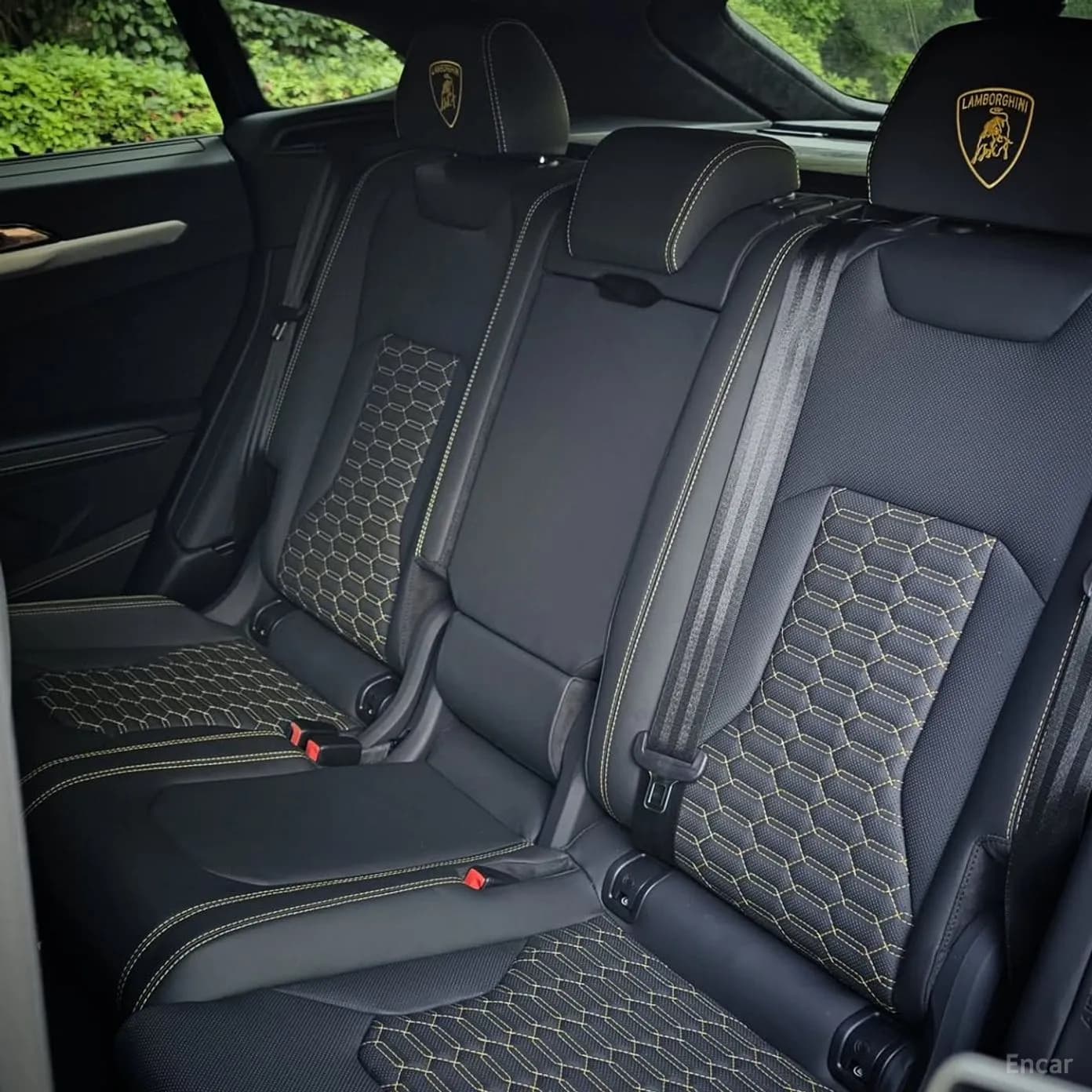 Urus