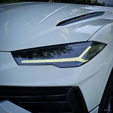 Urus