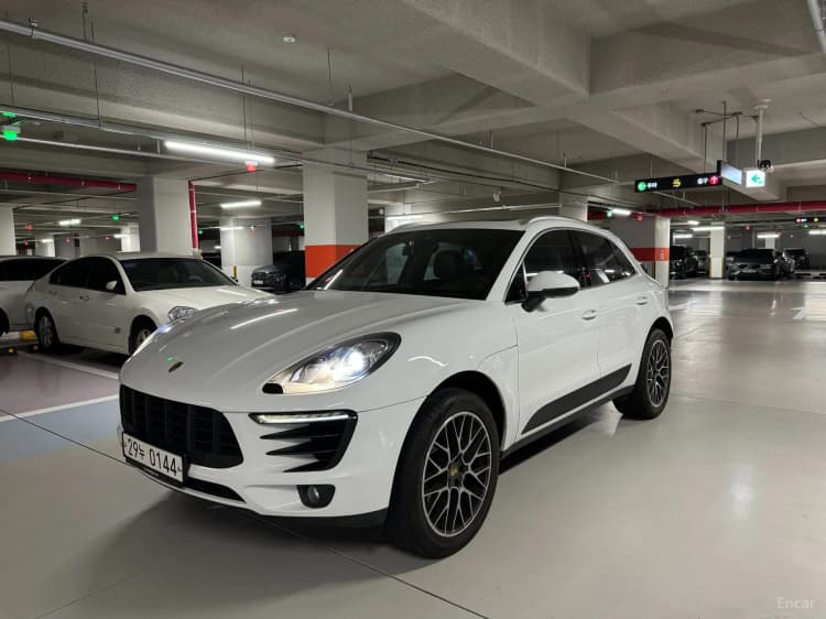 Macan