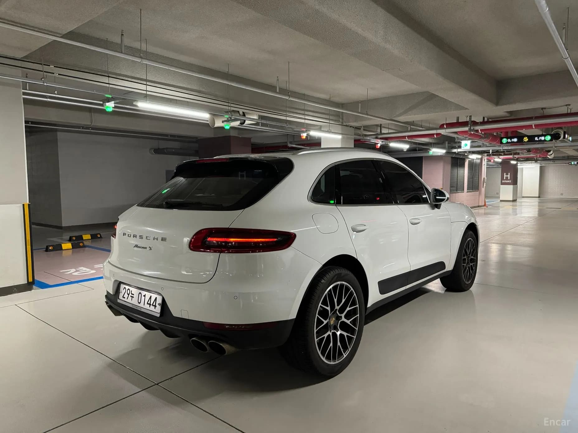 Macan