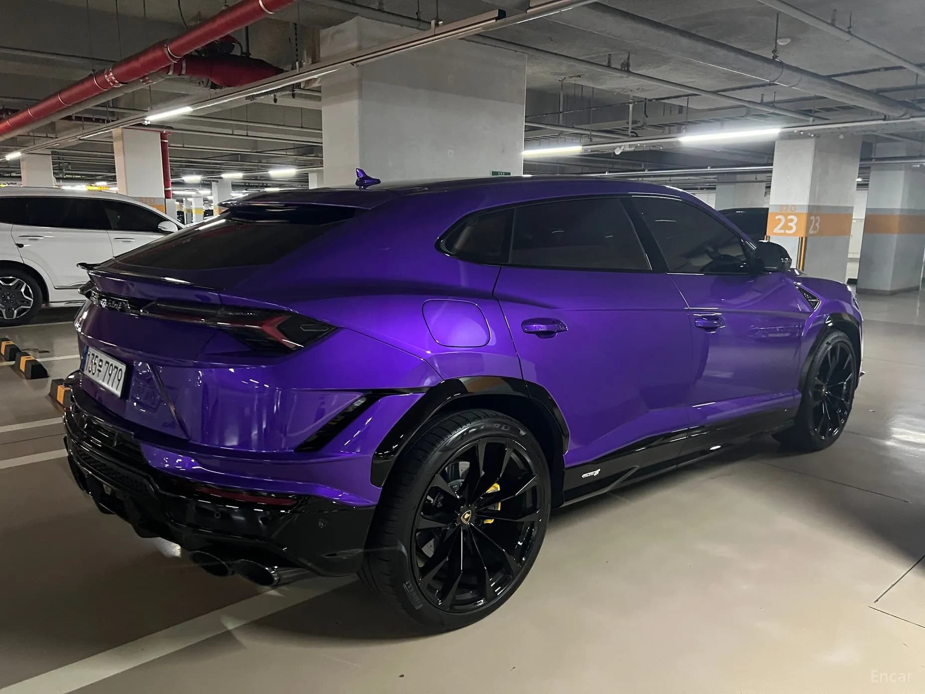 Urus