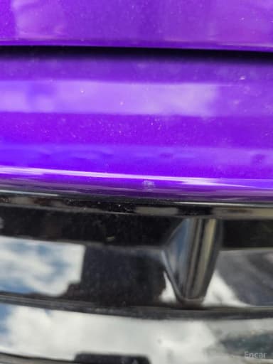 Urus