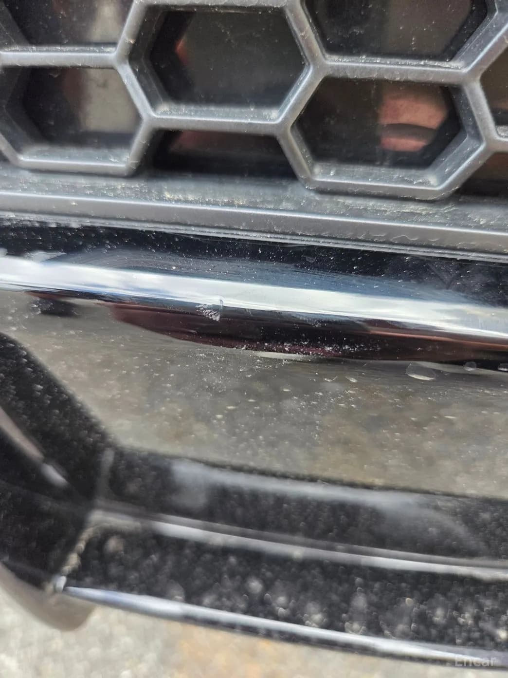 Urus