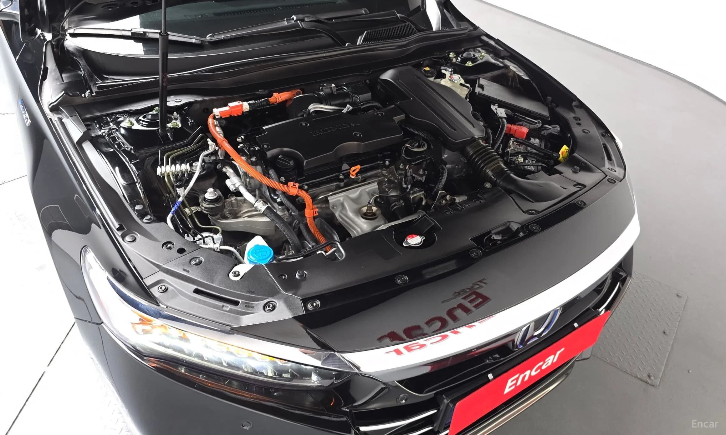 Accord 10th Generation