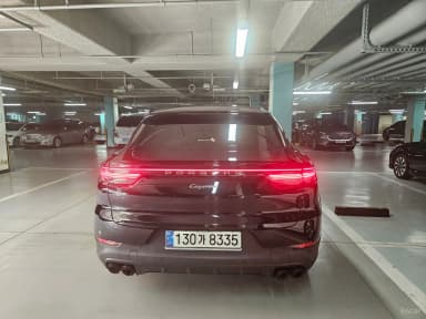 Cayenne (PO536)
