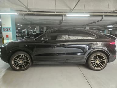 Cayenne (PO536)