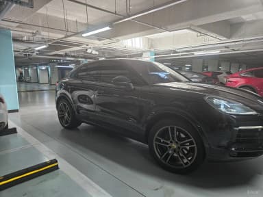 Cayenne (PO536)