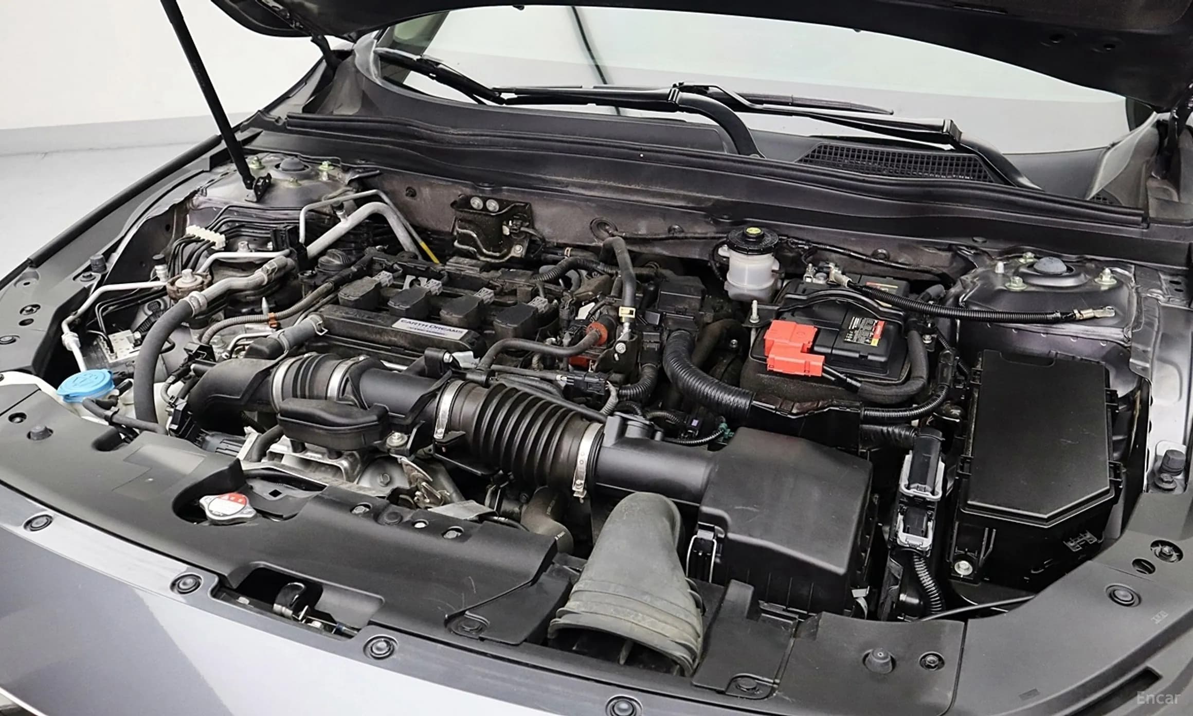 Accord 10th Generation