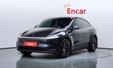Model Y