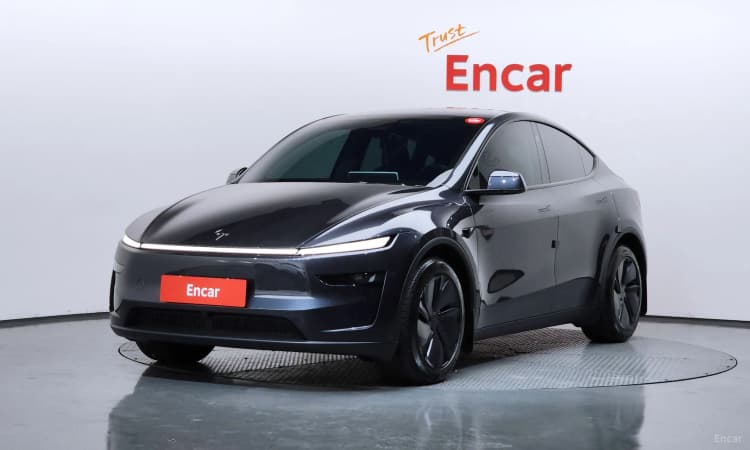 Model Y