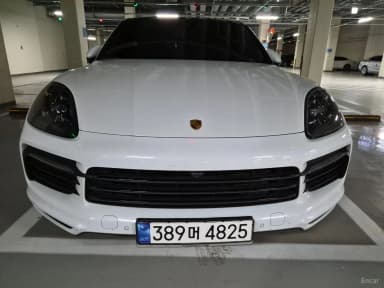 Cayenne (PO536)