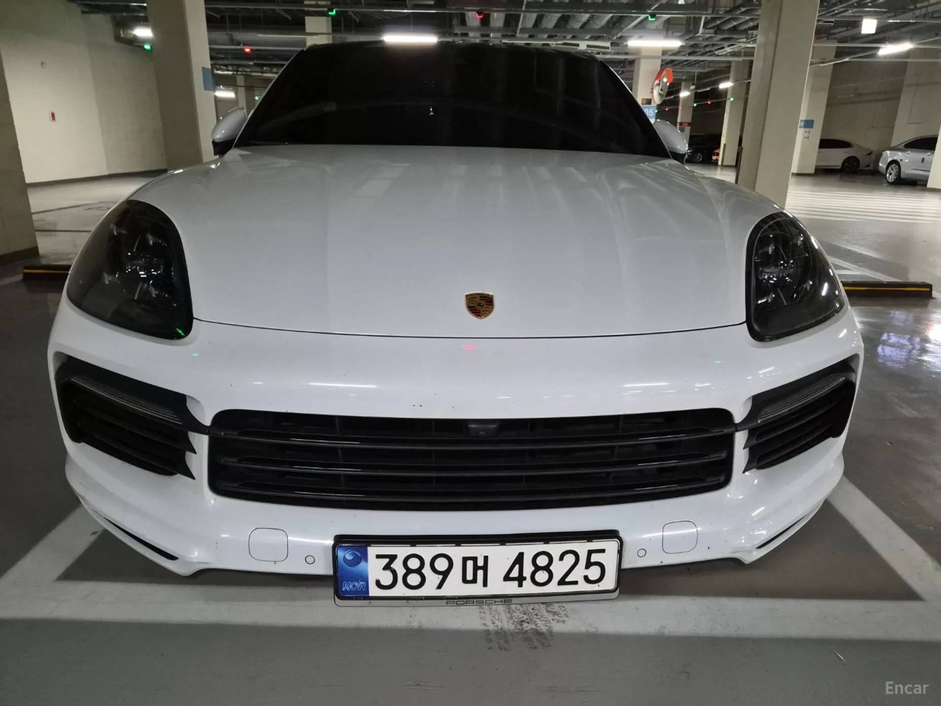 Cayenne (PO536)