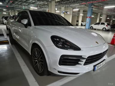 Cayenne (PO536)