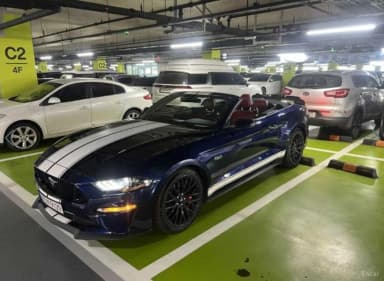 Mustang