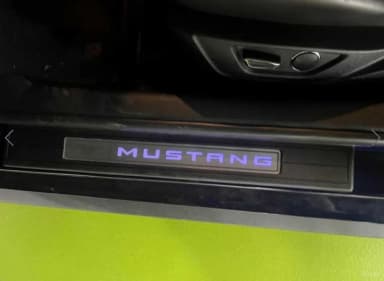 Mustang