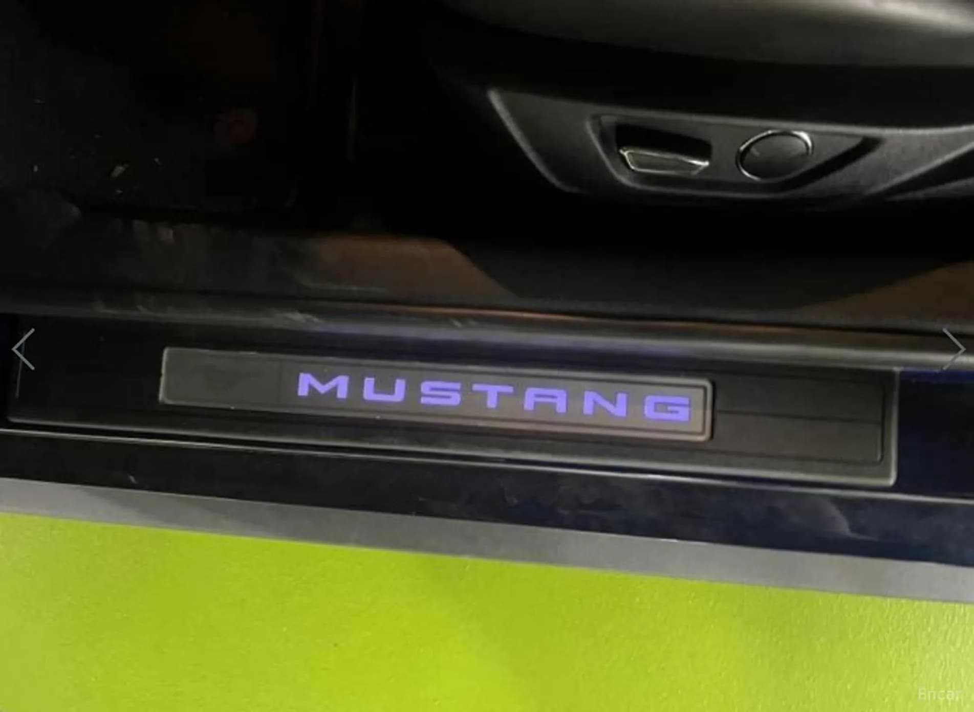 Mustang
