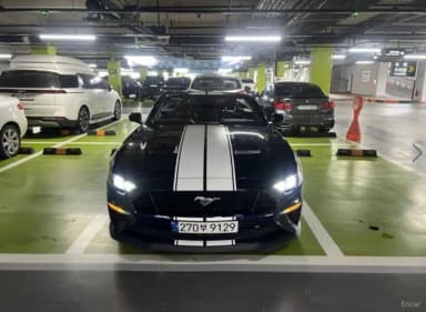 Mustang