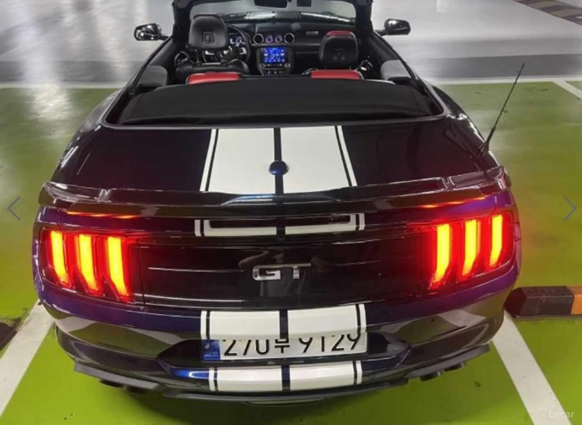 Mustang