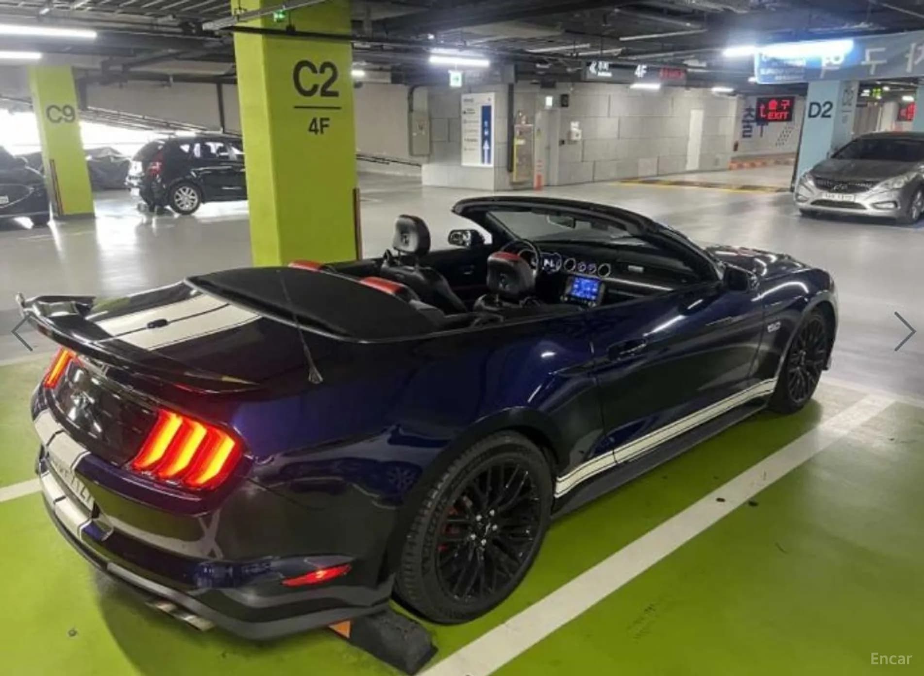 Mustang