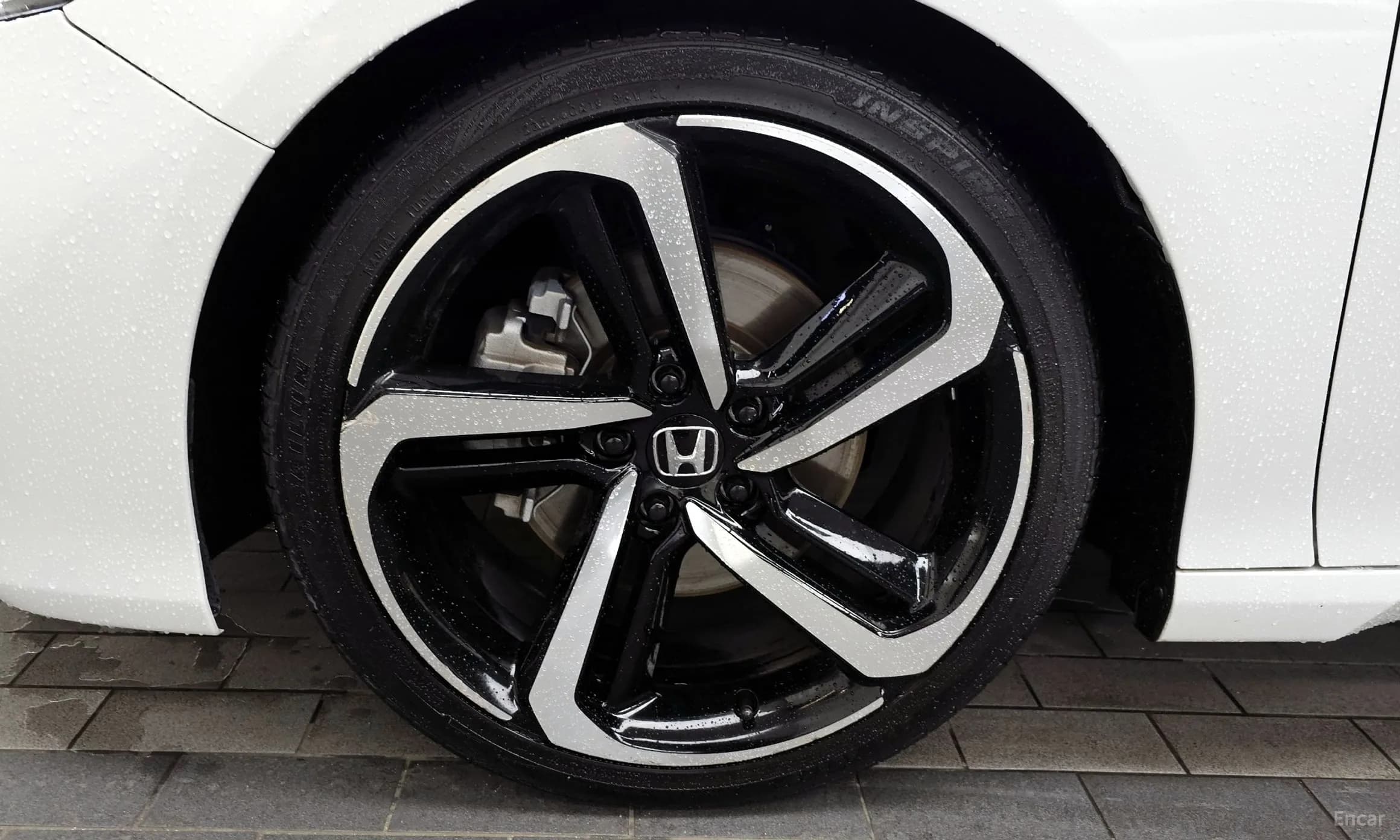 Accord 10th Generation