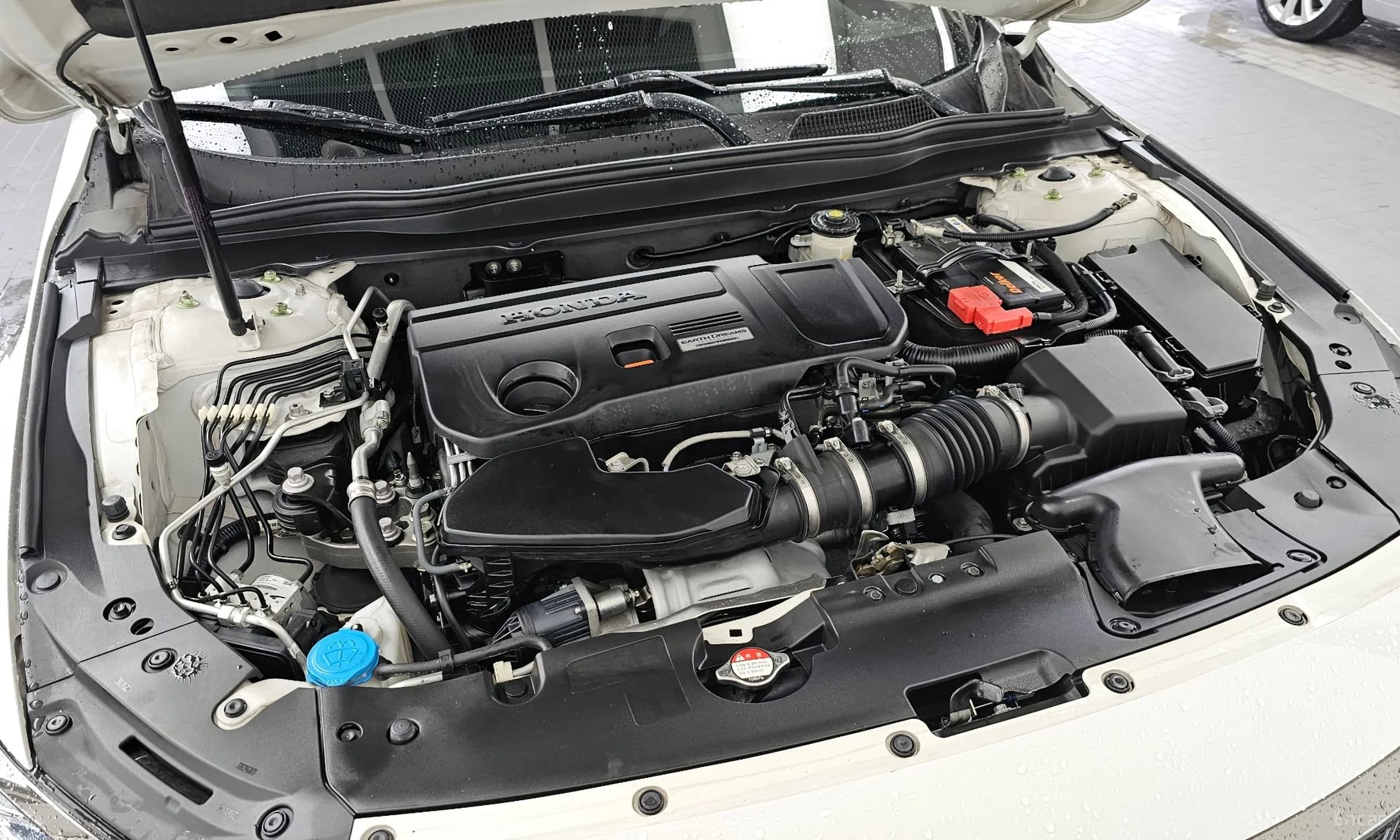 Accord 10th Generation
