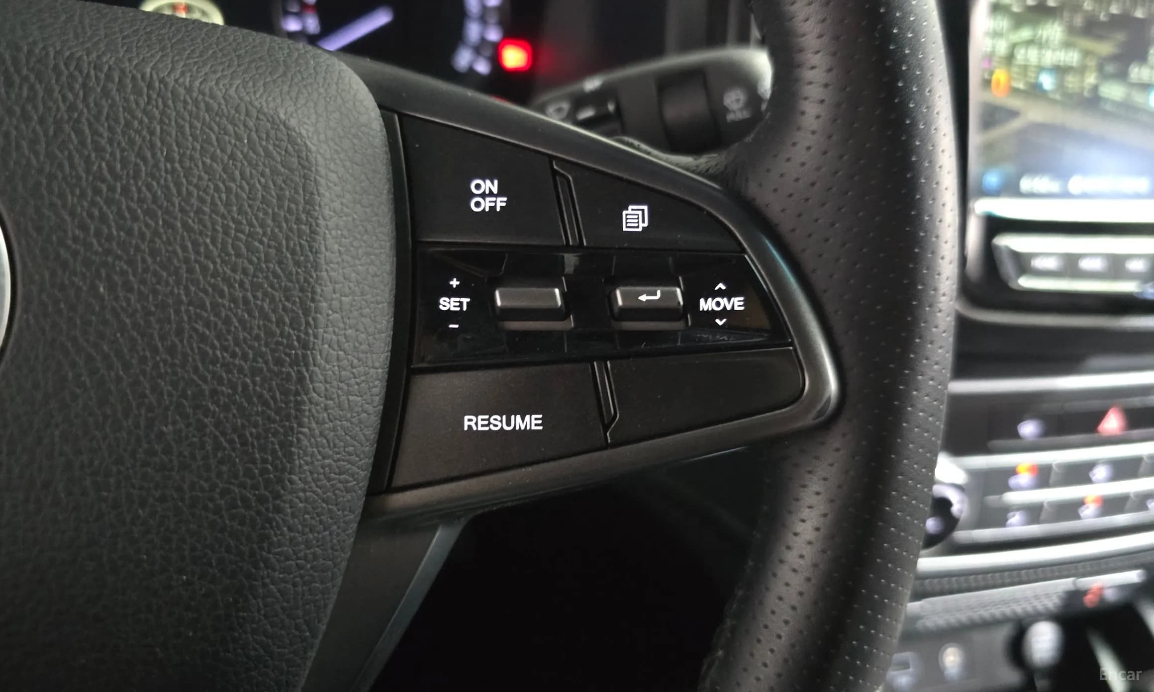 Rexton Sports