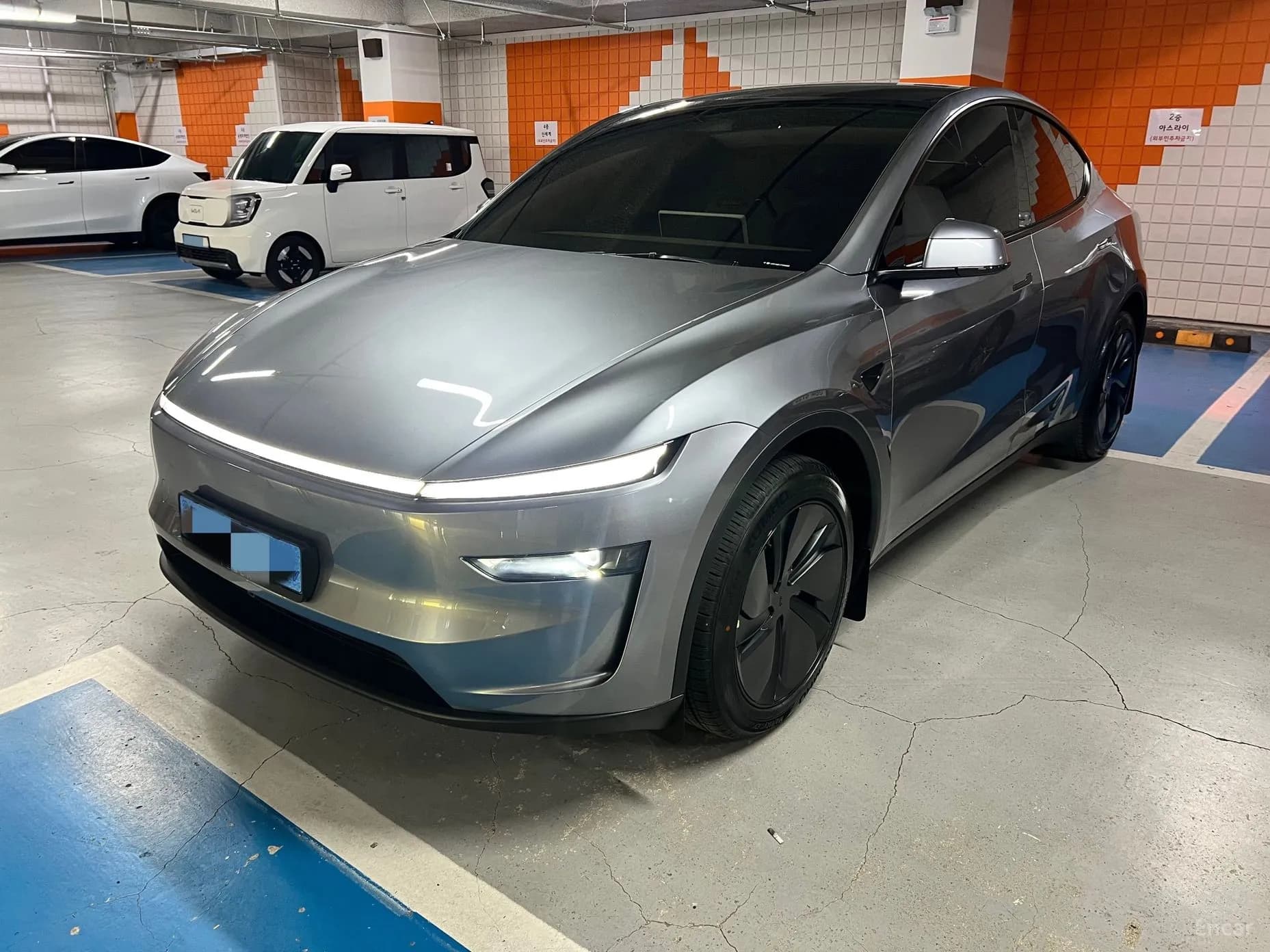 Model Y