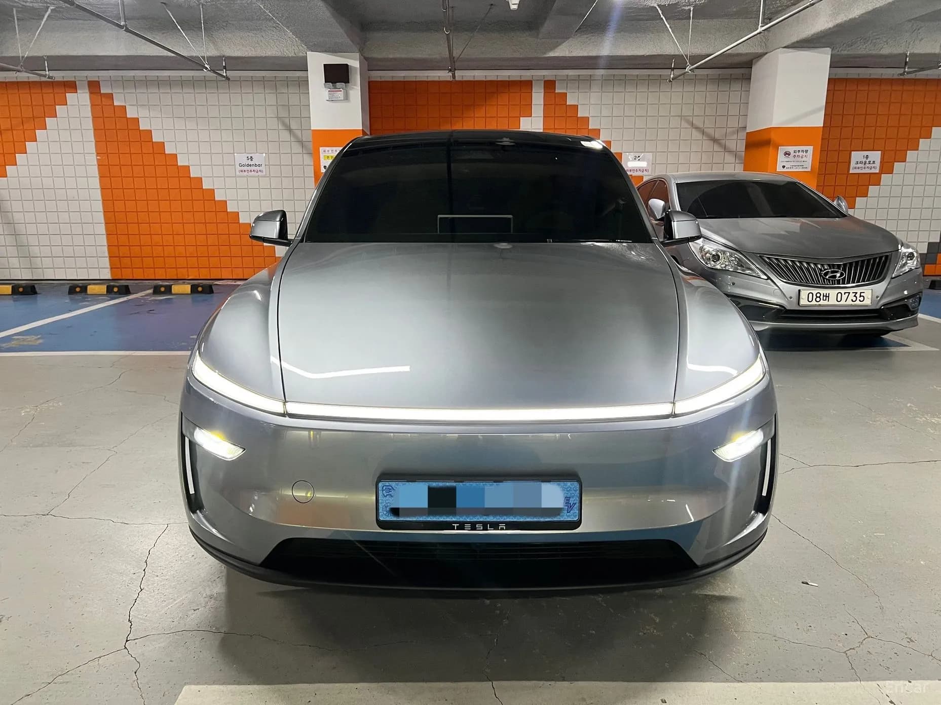 Model Y